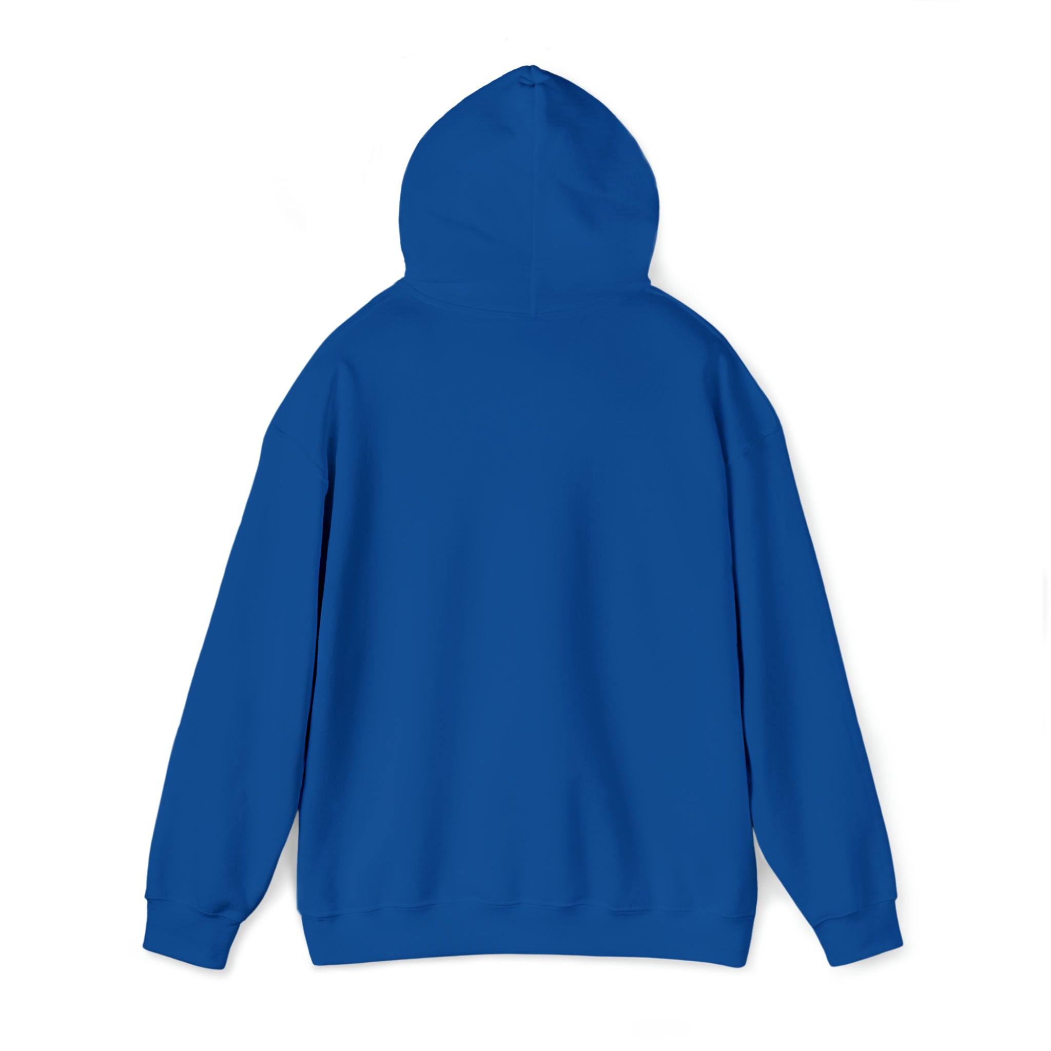 Blue sweatshirt hoodie online