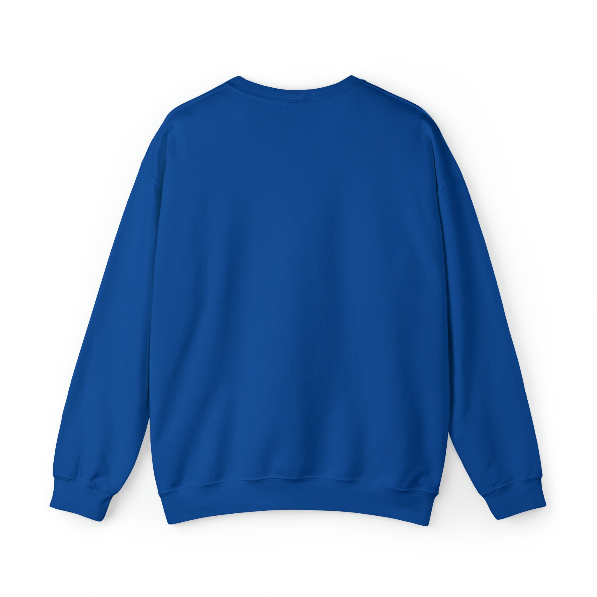 Blue sweatshirt online